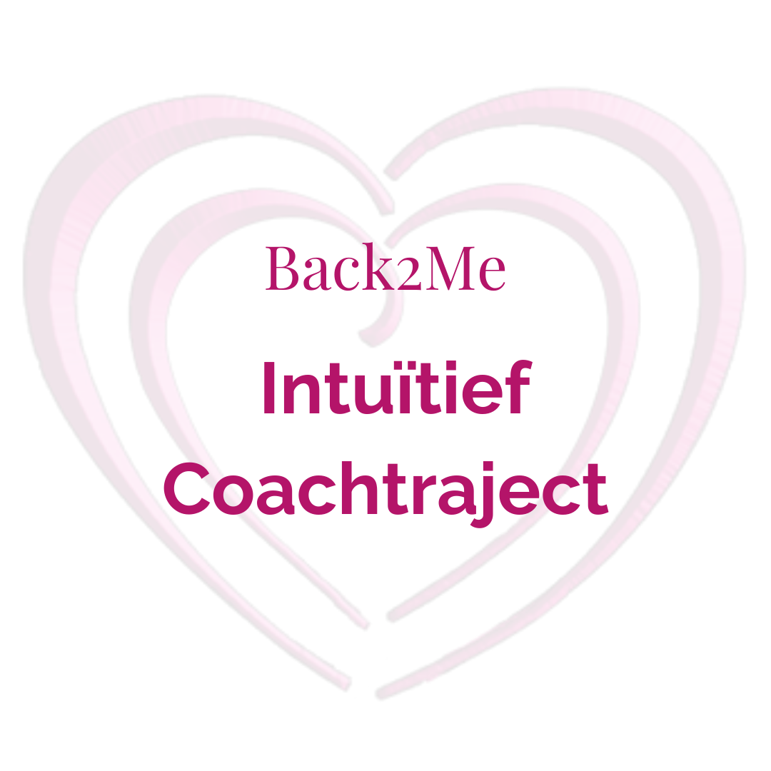 Aanbod intuïtief coachtraject